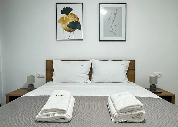 Venus Exquisite At Qualis * Braşov